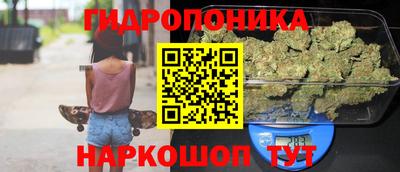 прущие грибы Краснокаменск