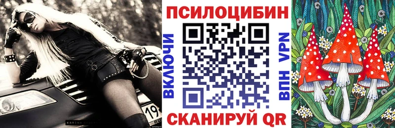 цена наркотик  Ефремов  Псилоцибиновые грибы Psilocybine cubensis 