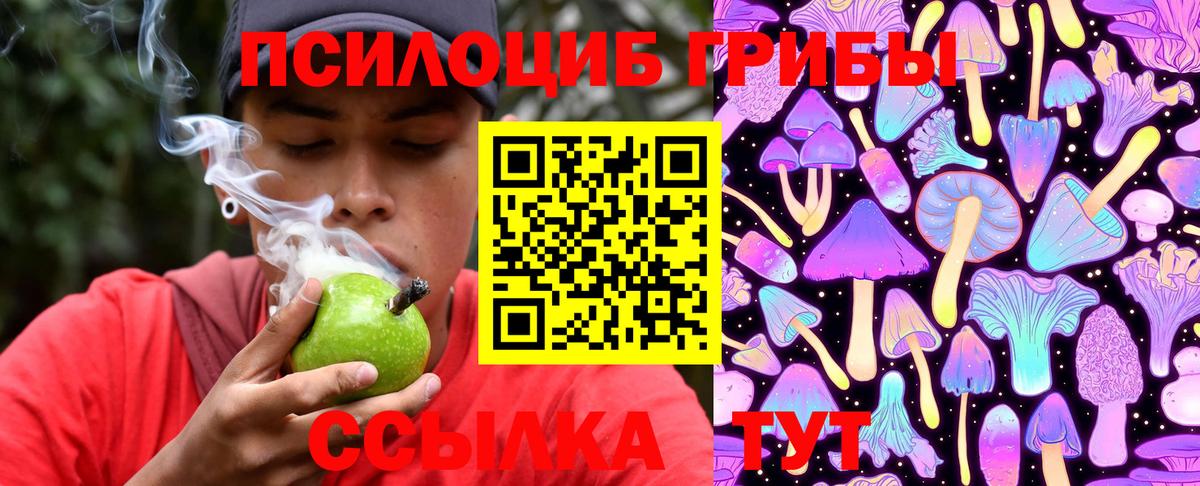 Псилоцибиновые грибы Psilocybe  Галлюциногенные грибы Psilocybe  Ефремов  Вход с VPN 